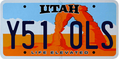 UT license plate Y510LS
