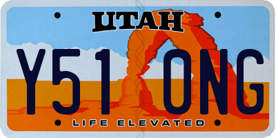 UT license plate Y510NG