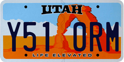UT license plate Y510RM