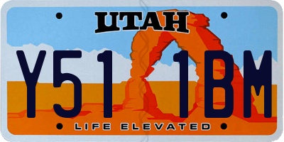 UT license plate Y511BM