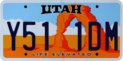UT license plate Y511DM