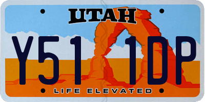 UT license plate Y511DP