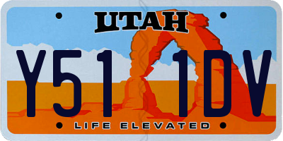 UT license plate Y511DV
