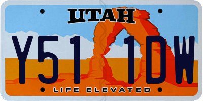 UT license plate Y511DW