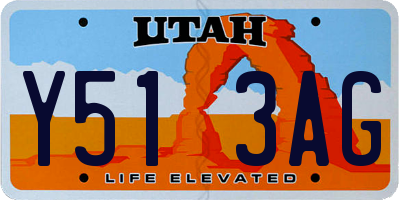 UT license plate Y513AG