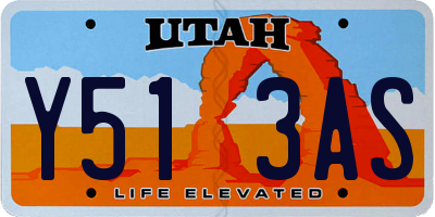 UT license plate Y513AS