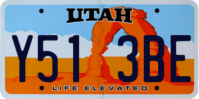 UT license plate Y513BE