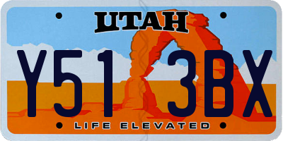 UT license plate Y513BX