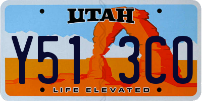 UT license plate Y513CO