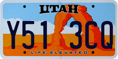UT license plate Y513CQ