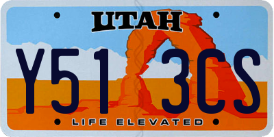 UT license plate Y513CS