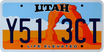 UT license plate Y513CT