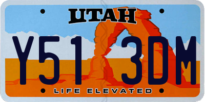 UT license plate Y513DM