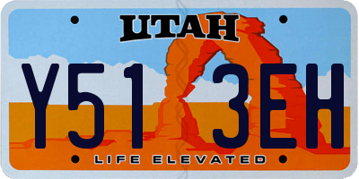 UT license plate Y513EH