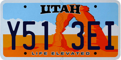 UT license plate Y513EI