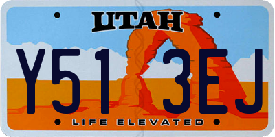 UT license plate Y513EJ