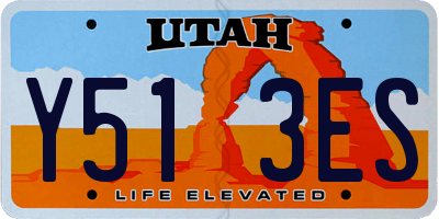 UT license plate Y513ES