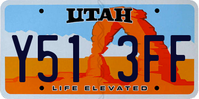 UT license plate Y513FF