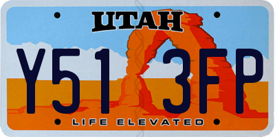 UT license plate Y513FP