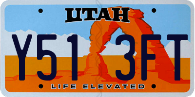 UT license plate Y513FT