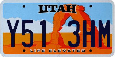 UT license plate Y513HM