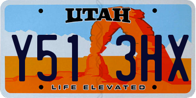 UT license plate Y513HX