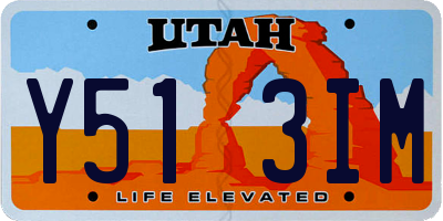 UT license plate Y513IM