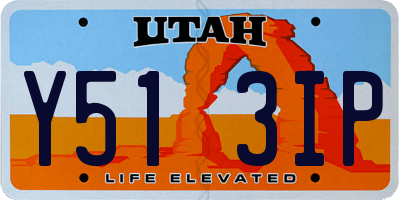 UT license plate Y513IP