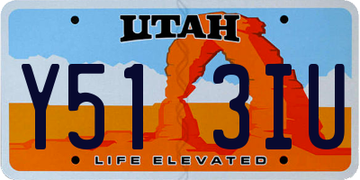 UT license plate Y513IU