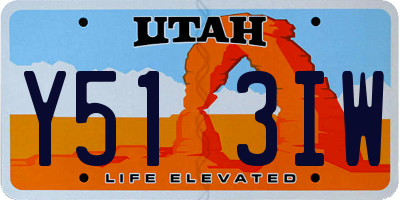 UT license plate Y513IW