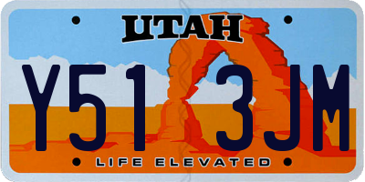 UT license plate Y513JM