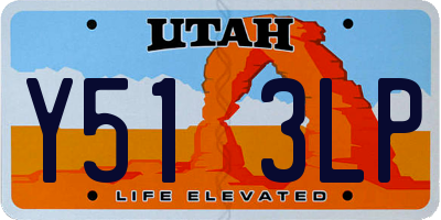 UT license plate Y513LP