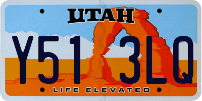 UT license plate Y513LQ