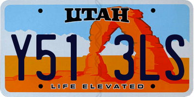 UT license plate Y513LS