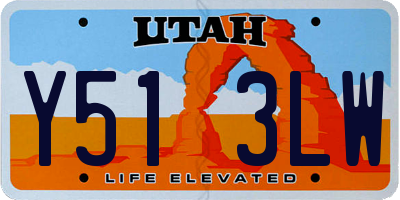 UT license plate Y513LW