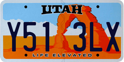 UT license plate Y513LX