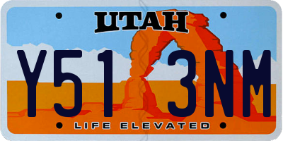 UT license plate Y513NM