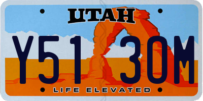 UT license plate Y513OM