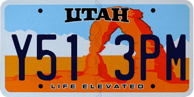 UT license plate Y513PM