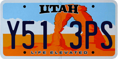 UT license plate Y513PS