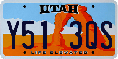 UT license plate Y513QS