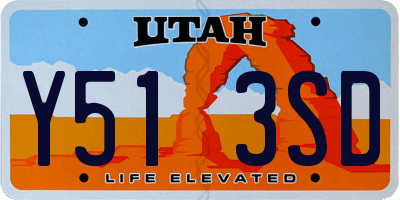UT license plate Y513SD
