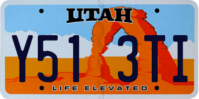 UT license plate Y513TI