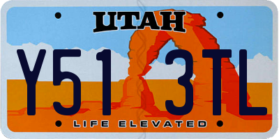 UT license plate Y513TL