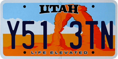 UT license plate Y513TN
