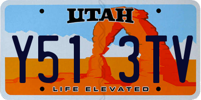 UT license plate Y513TV
