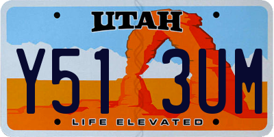 UT license plate Y513UM