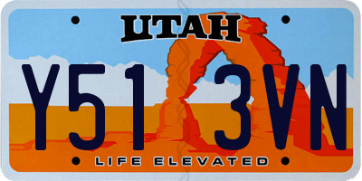 UT license plate Y513VN