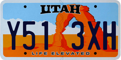 UT license plate Y513XH