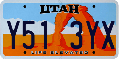 UT license plate Y513YX